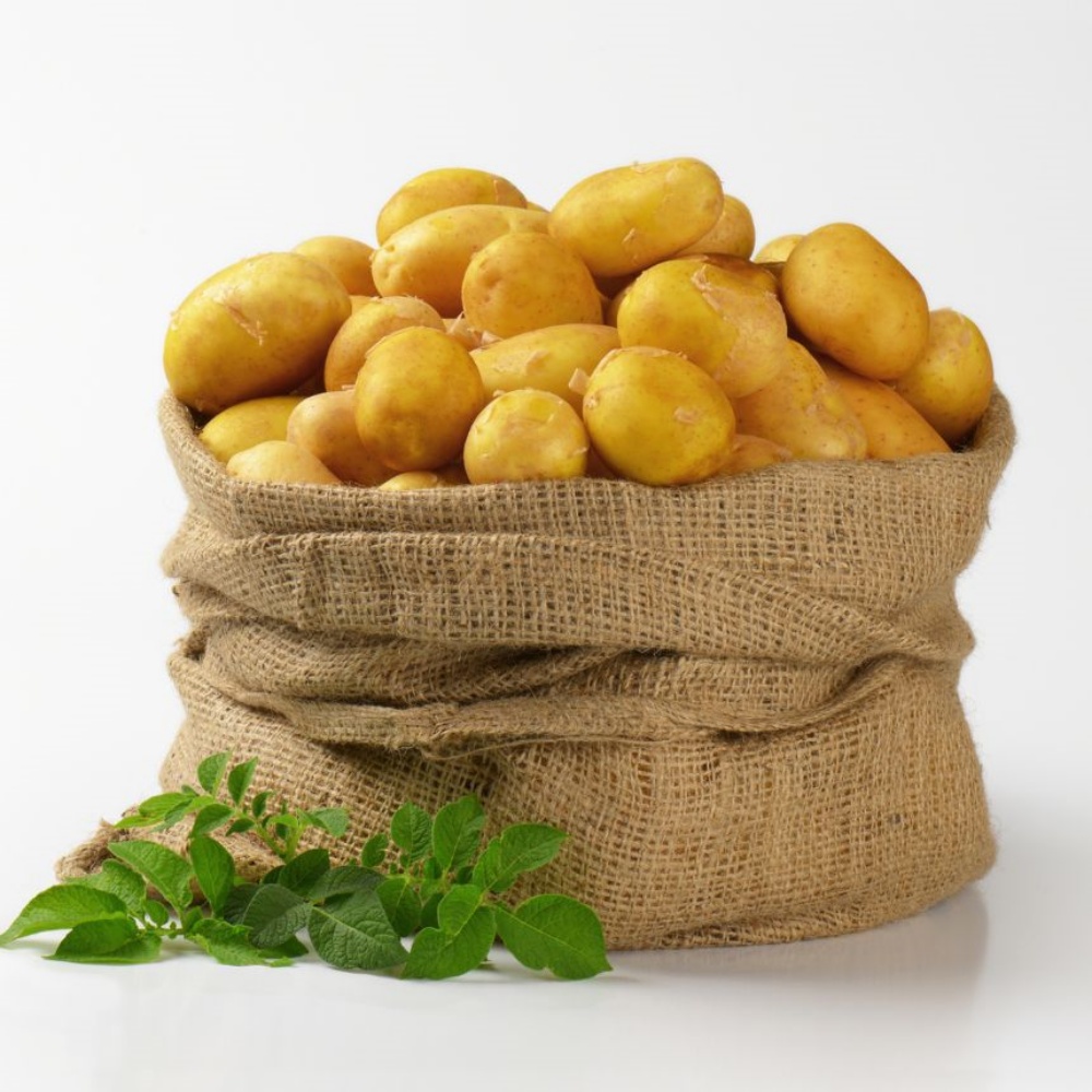 분감자 강원도 두백감자 햇감자 분나는 쪄먹는 분질 포슬감자 한박스 고랭지 중, 10kg, 1개