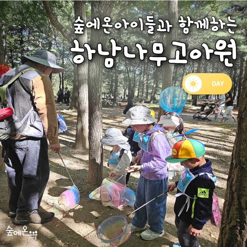 [숲에온아이들][하남나무고아원] 어린이 가을 숲체험 유아 초등 자연 주말 체험 학습