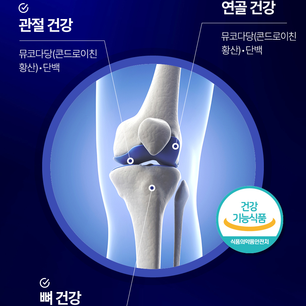 [8개월] 동국제약 마이핏V 관절연골 뼈건강 소연골 콘드로이친 뮤코다당단백 1200 60정, 8개 - 상세 이미지 2
