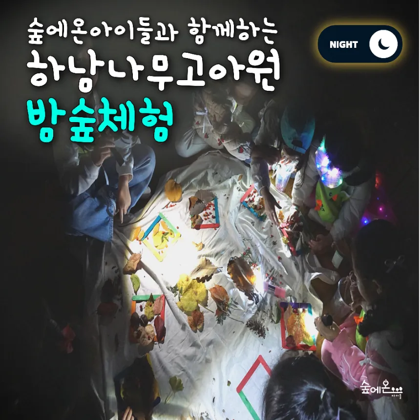 [숲에온아이들][하남나무고아원] 어린이 밤 곤충 가을 숲체험 유아 초등 자연 주말 체험 학습