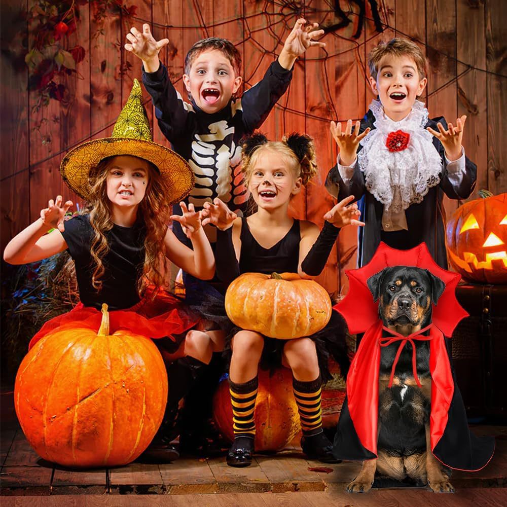 할로윈 반려견 뱀파이어 코스프레 코스튬 레드블랙 SL-21 S - 상세 이미지 4