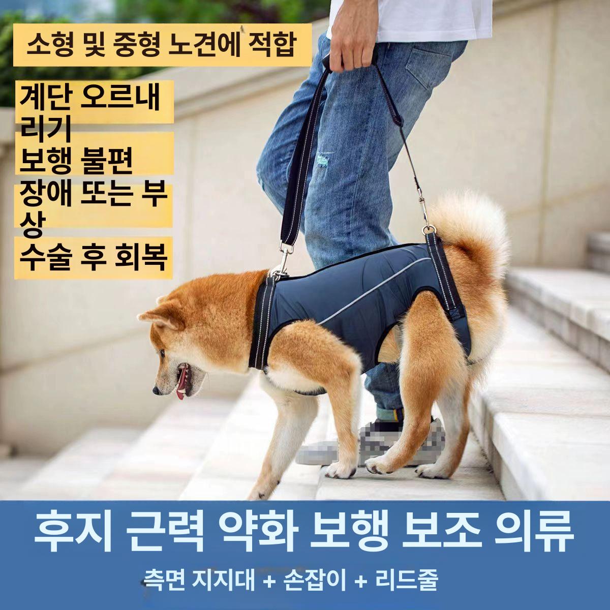 강아지보조기 노견 강아지 반려동물 다리 관절 사계절 다크네이비 사계절 공용 M 추천8.5-12.0kg강아지 - 상세 이미지 2