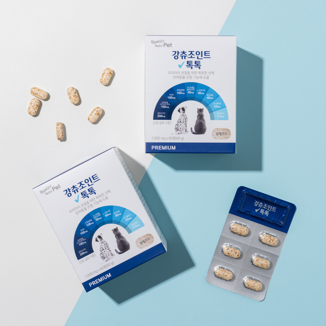 바른뉴트리펫 강츄조인트 톡톡 강아지 관절 영양제 슬개골 연골 노견 고양이 60정, 1개