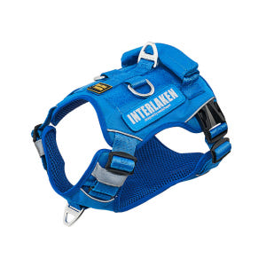 인터라켄 커스텀 강아지 하네스 H형 소형견 앞섬방지 앞고리 가슴줄 XXS 솔직 후기 | 실제 사용자 리뷰 총정리 - 상품 이미지 2