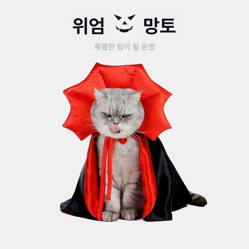 고양이 할로윈 코스튬 망토 마법사 강아지 코스프레 싱글 클로크 프리 12.5kg이하의고양이 이미지 6