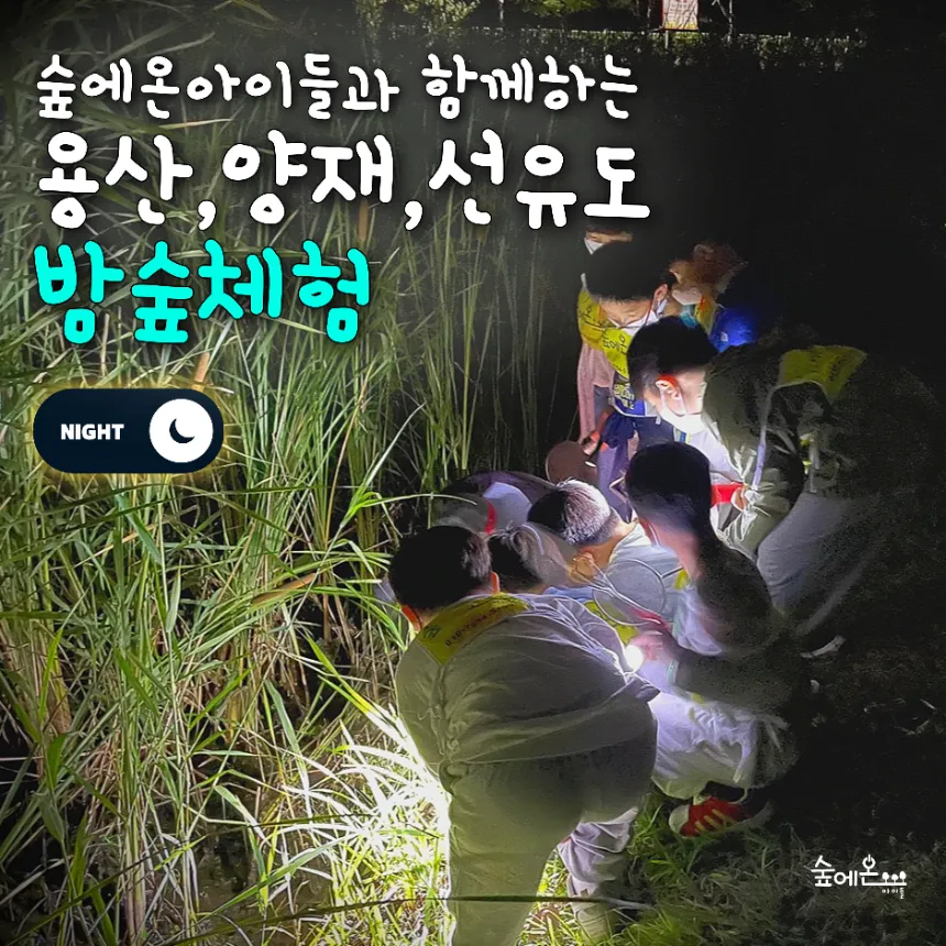 [숲에온아이들][용산가족공원/양재시민의숲/선유도공원] 어린이 주말 가을 밤 곤충 숲체험 유아 초등 자연 주말 체험 학습 - 상품 이미지