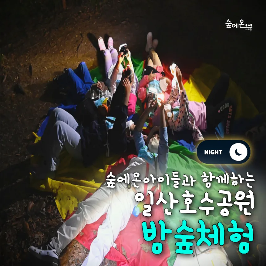 [숲에온아이들][일산호수공원] 어린이 가을 밤 곤충 숲체험 유아 초등 자연 주말 체험 학습