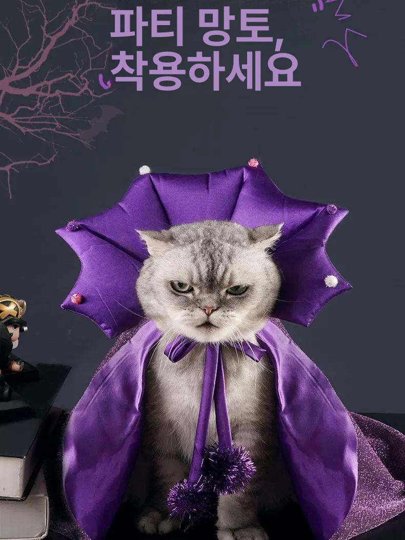고양이 할로윈 코스튬 망토 마법사 강아지 코스프레 싱글 클로크 프리 12.5kg이하의고양이 - 상세 이미지 2