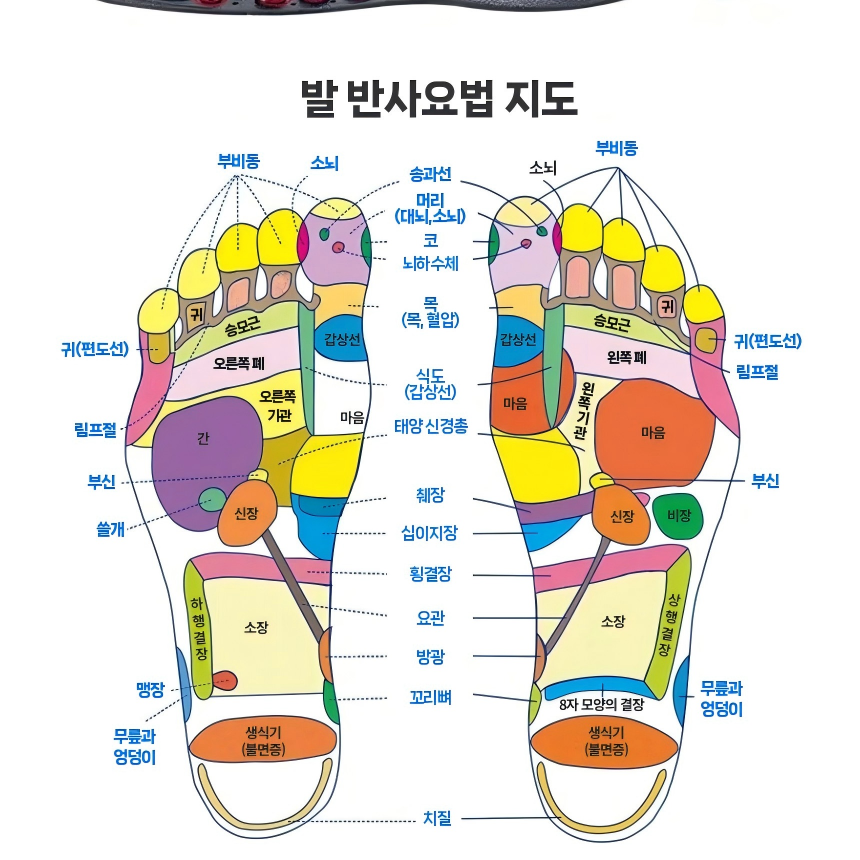 [지압한판] 애니윙 자기요법 사이즈조절 68칩 발마사지 자석깔창 - 상세 이미지 2