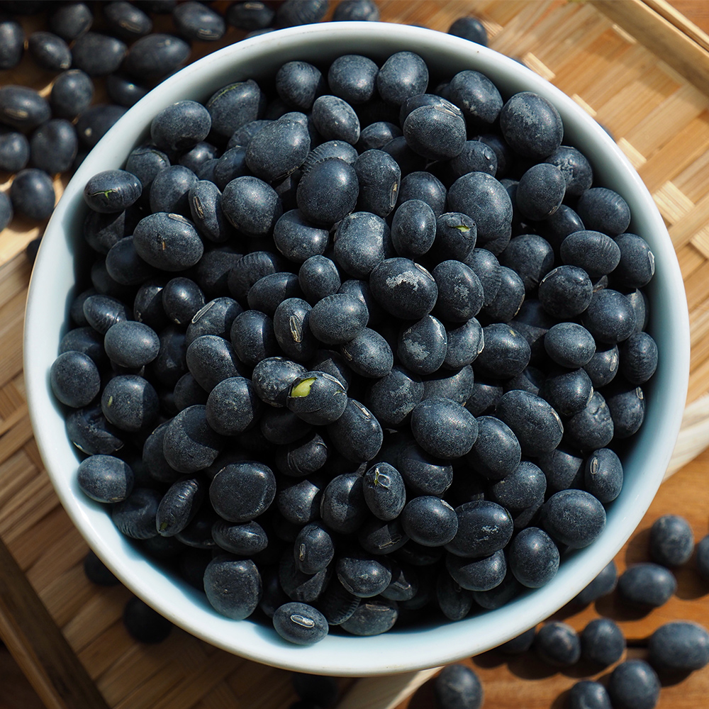 국산 서리태 콩 검은콩 검정콩 속청