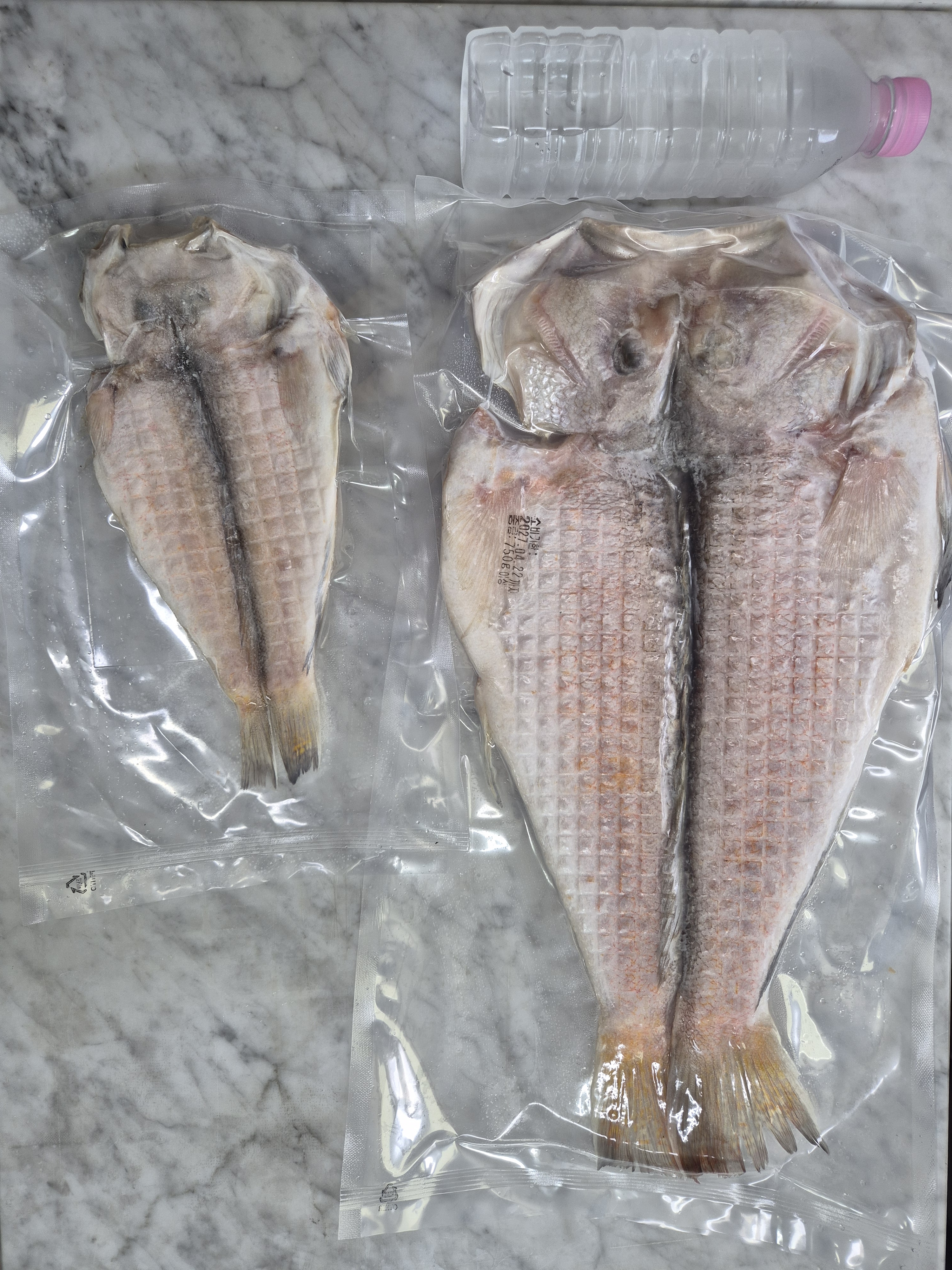 [제주어부] 100% 제주산 대왕 흑옥돔 옥두어 반건조 700g 900g 프리미엄 - 상세 이미지 3
