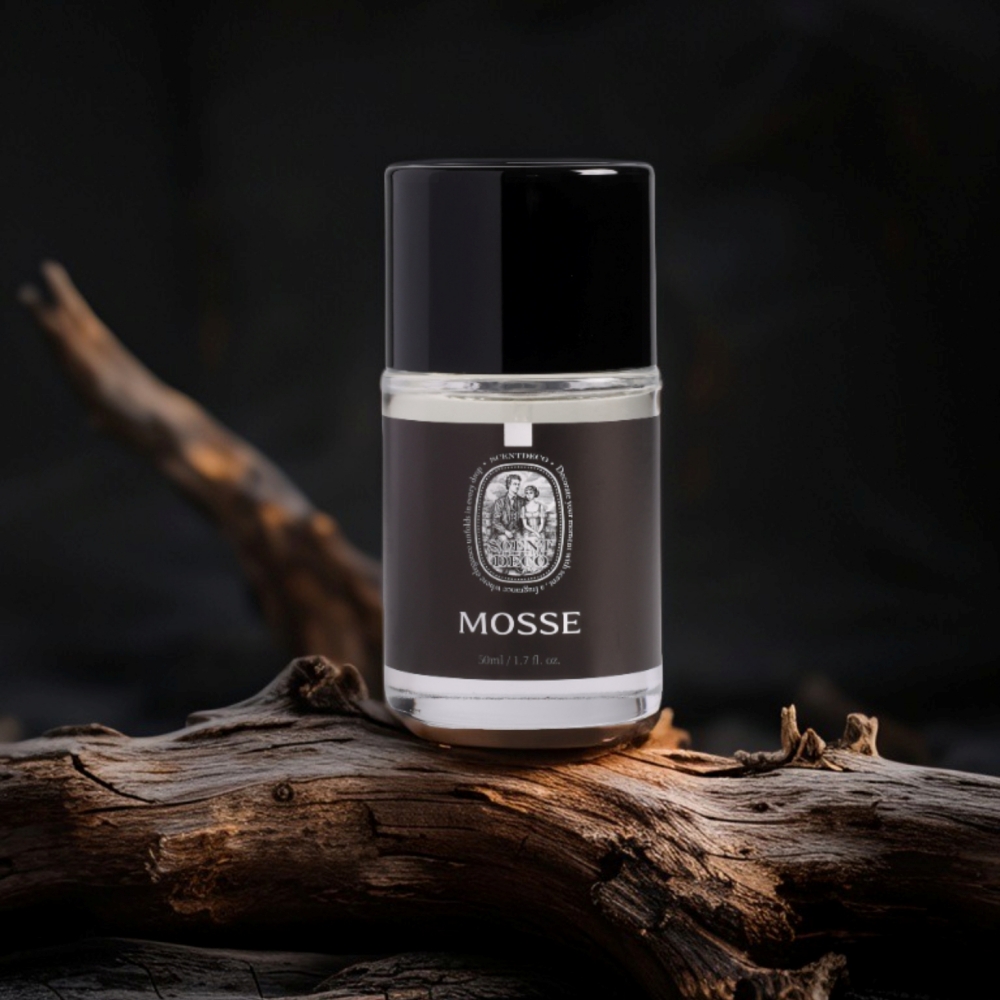센트데코 명품 니치향수 살냄새 코튼 비누향 승무원향수 모쓰 MOSSE, 50ml, 1개 - 상세 이미지 3