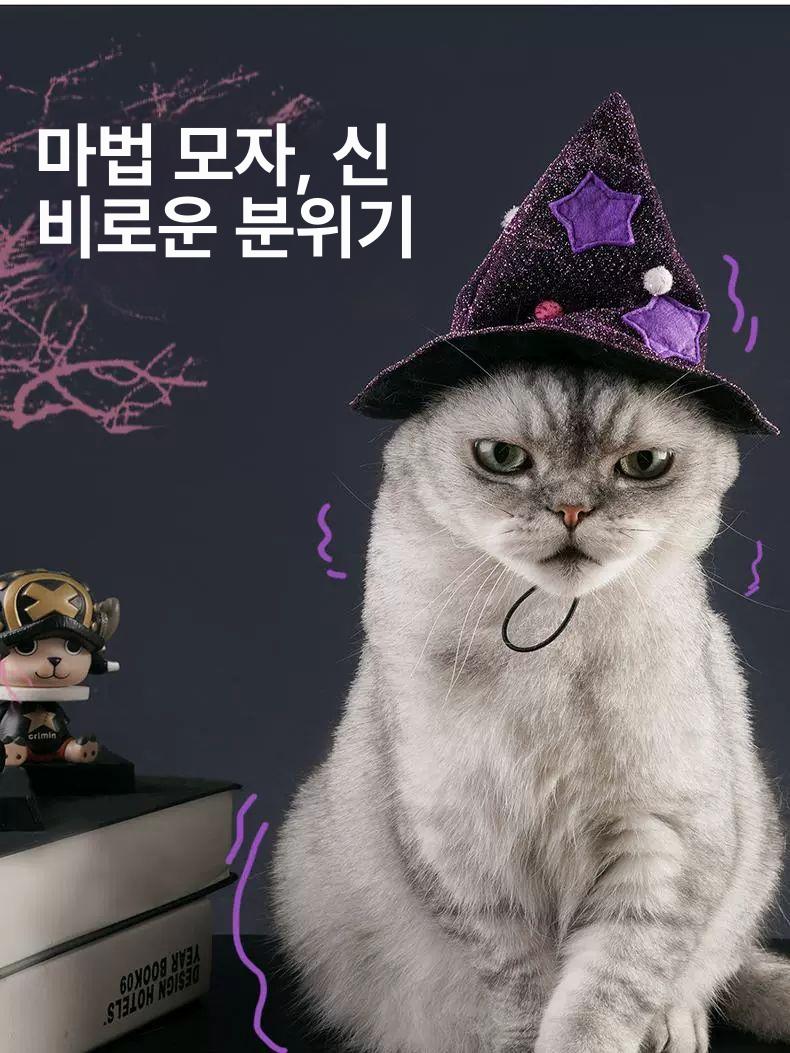 고양이 할로윈 코스튬 망토 마법사 강아지 코스프레 싱글 클로크 프리 12.5kg이하의고양이 - 상세 이미지 3