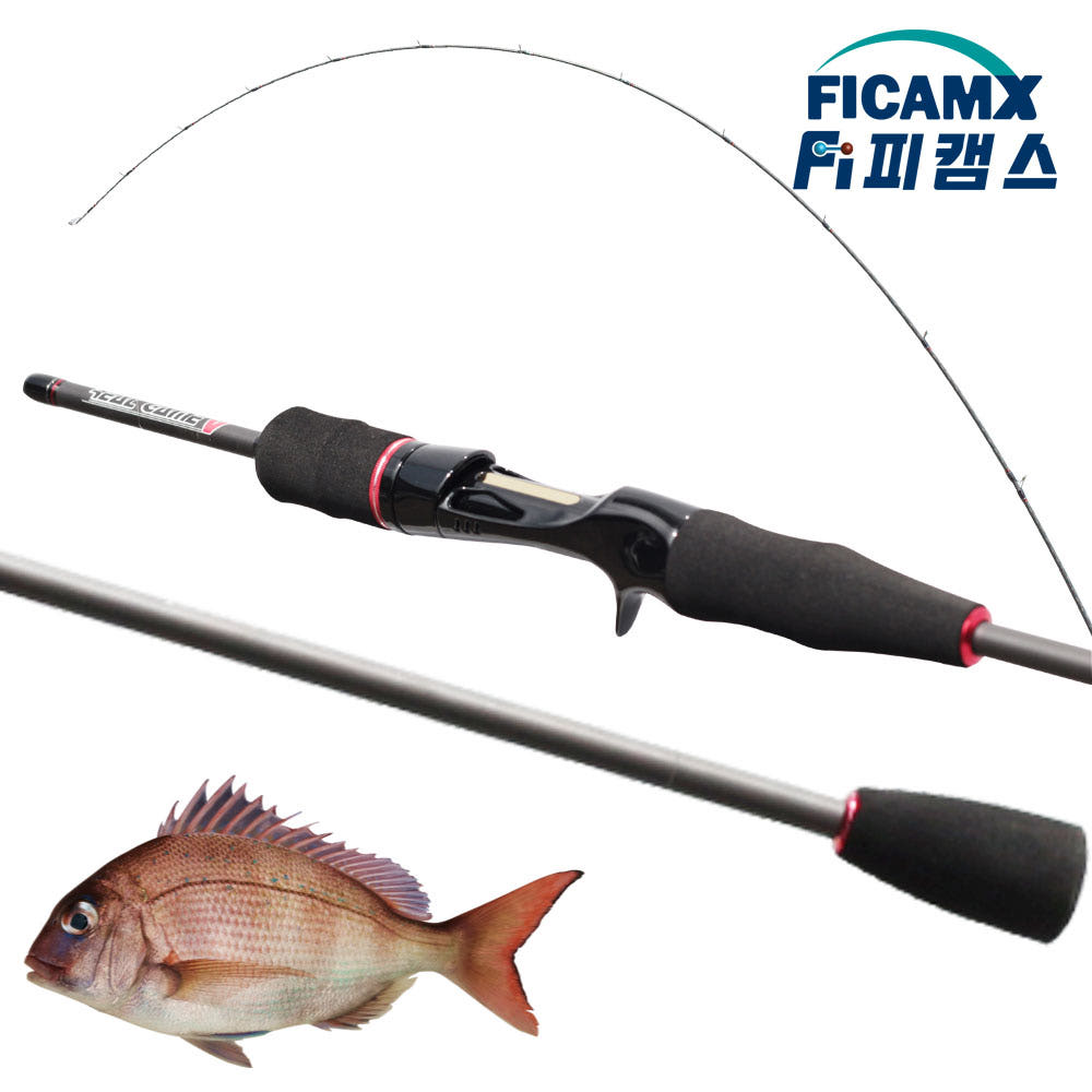 피캠스 참돔 타이라바대