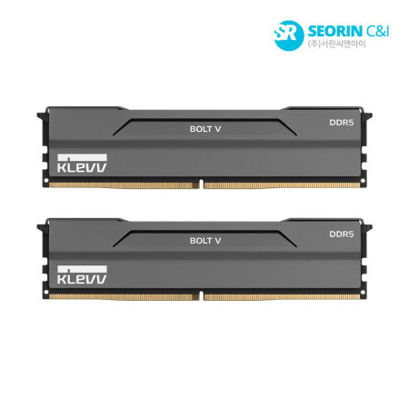 에센코어 클레브 DDR5-6000 CL30 BOLT V 32GB, 블랙, 2개