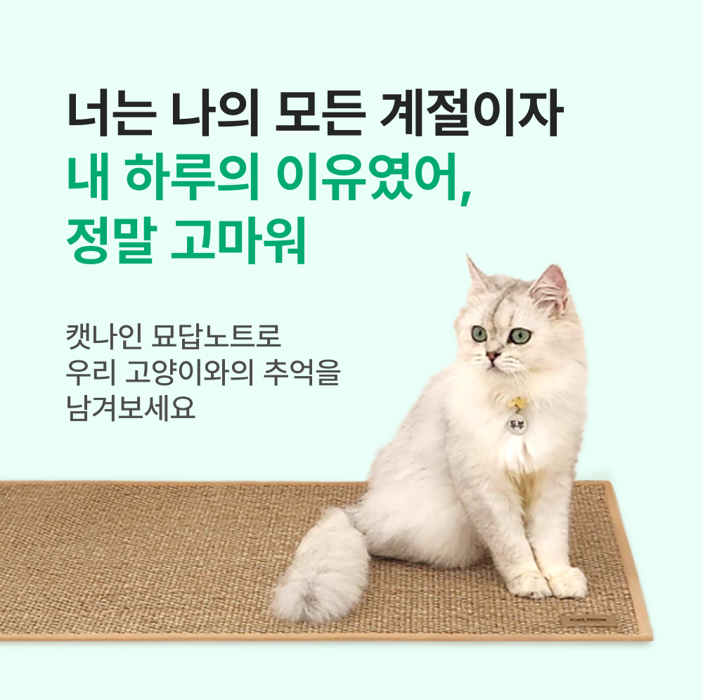 캣나인 감성 문답북 묘답노트 - 상세 이미지 5