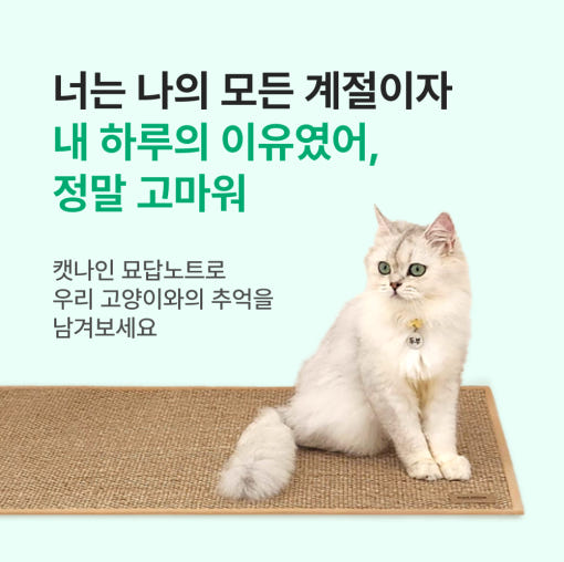 캣나인 문답북 내지 샘플 이미지 2