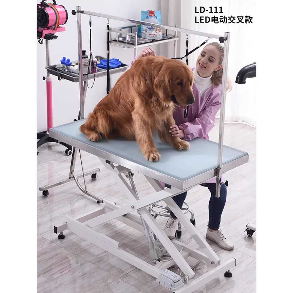애견미용테이블 받침대 대형 반려동물 고양이 높낮이 704 유압 크레센트 붐 - 상세 이미지 4