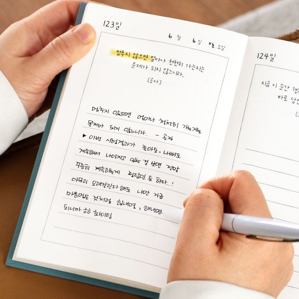 좋은글 일기장 어른 성인 감사 일기 명언 필사 비밀 감정 노트 만년형 6개월 - 상세 이미지 3