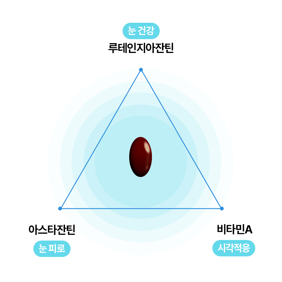 [3개월] 동국제약 마이핏V 루테인지아잔틴 아스타잔틴 눈건강 30캡슐, 3개 - 상세 이미지 5
