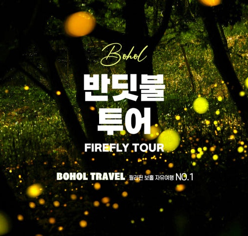 보홀 반딧불 투어 단독 픽드랍 나이트 - 상품 이미지