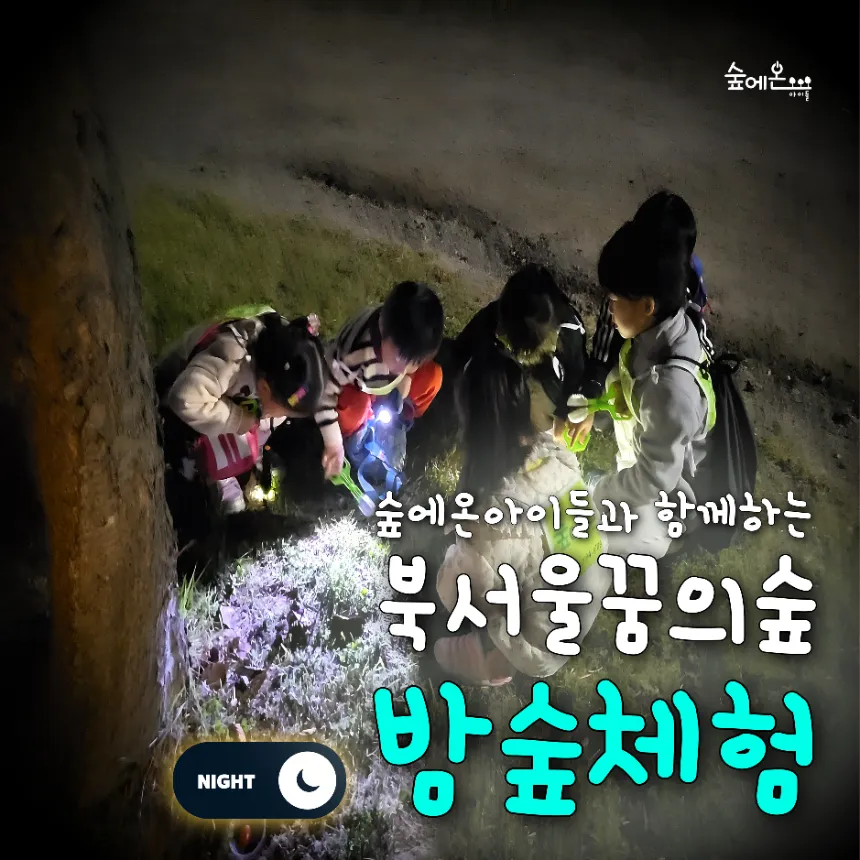 [숲에온아이들][북서울꿈의숲] 어린이 가을 밤 곤충 숲체험 유아 초등 자연 주말 체험 학습