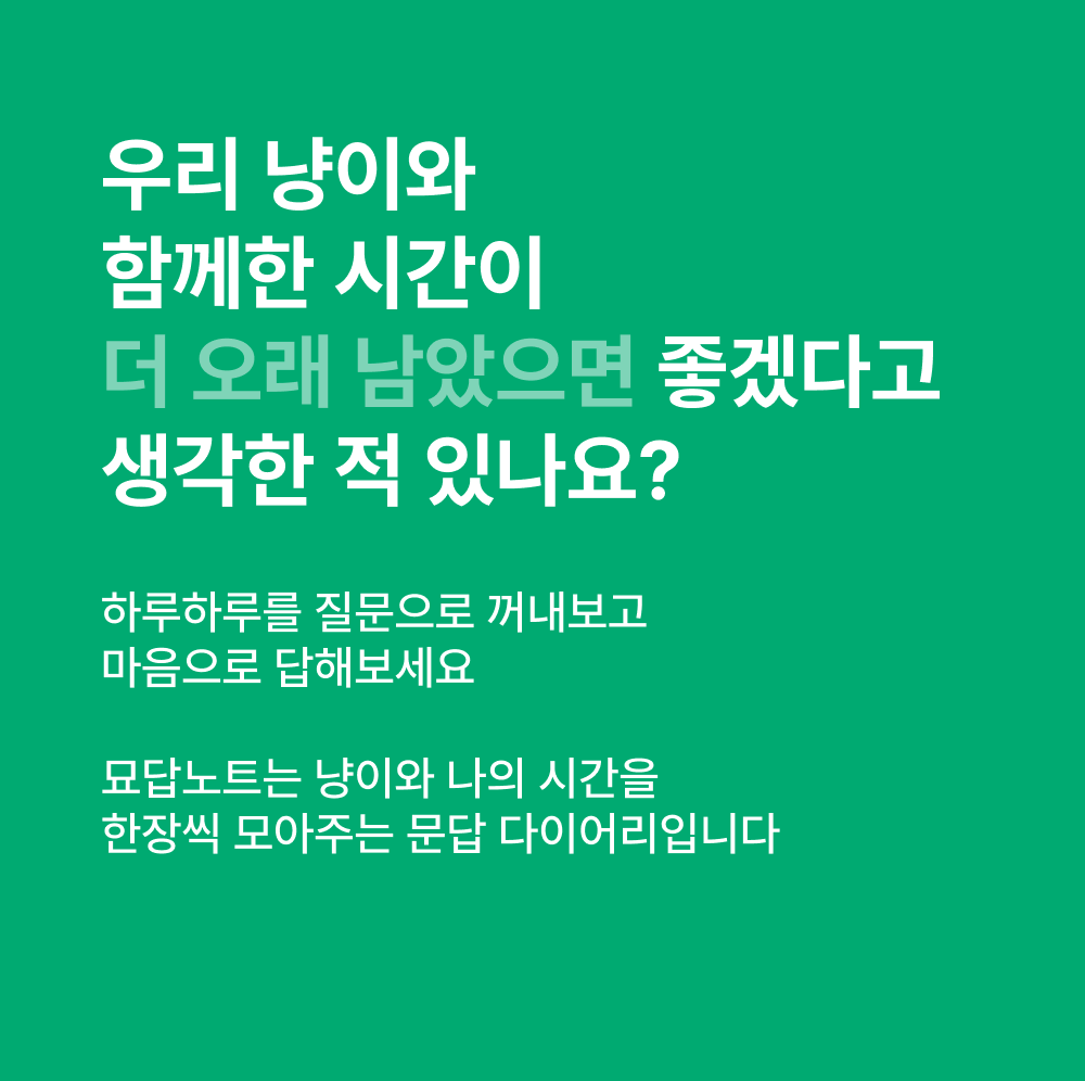 캣나인 감성 문답북 묘답노트 - 상세 이미지 4