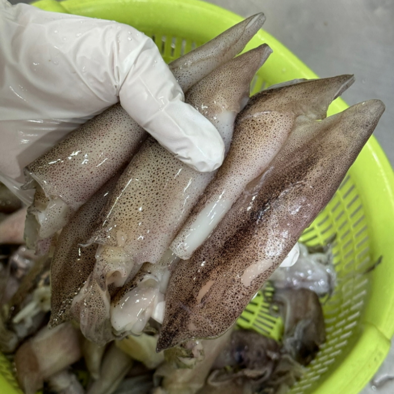 내장의 크리미함 급냉 총알한치 500g 15-25미 - 상품 이미지