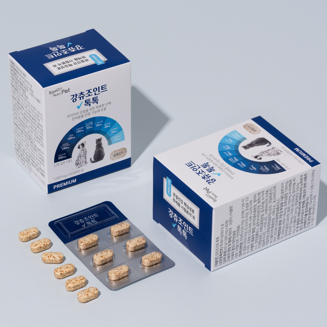 바른뉴트리펫 강츄조인트 톡톡 강아지 관절 영양제 슬개골 연골 노견 고양이 60정, 1개