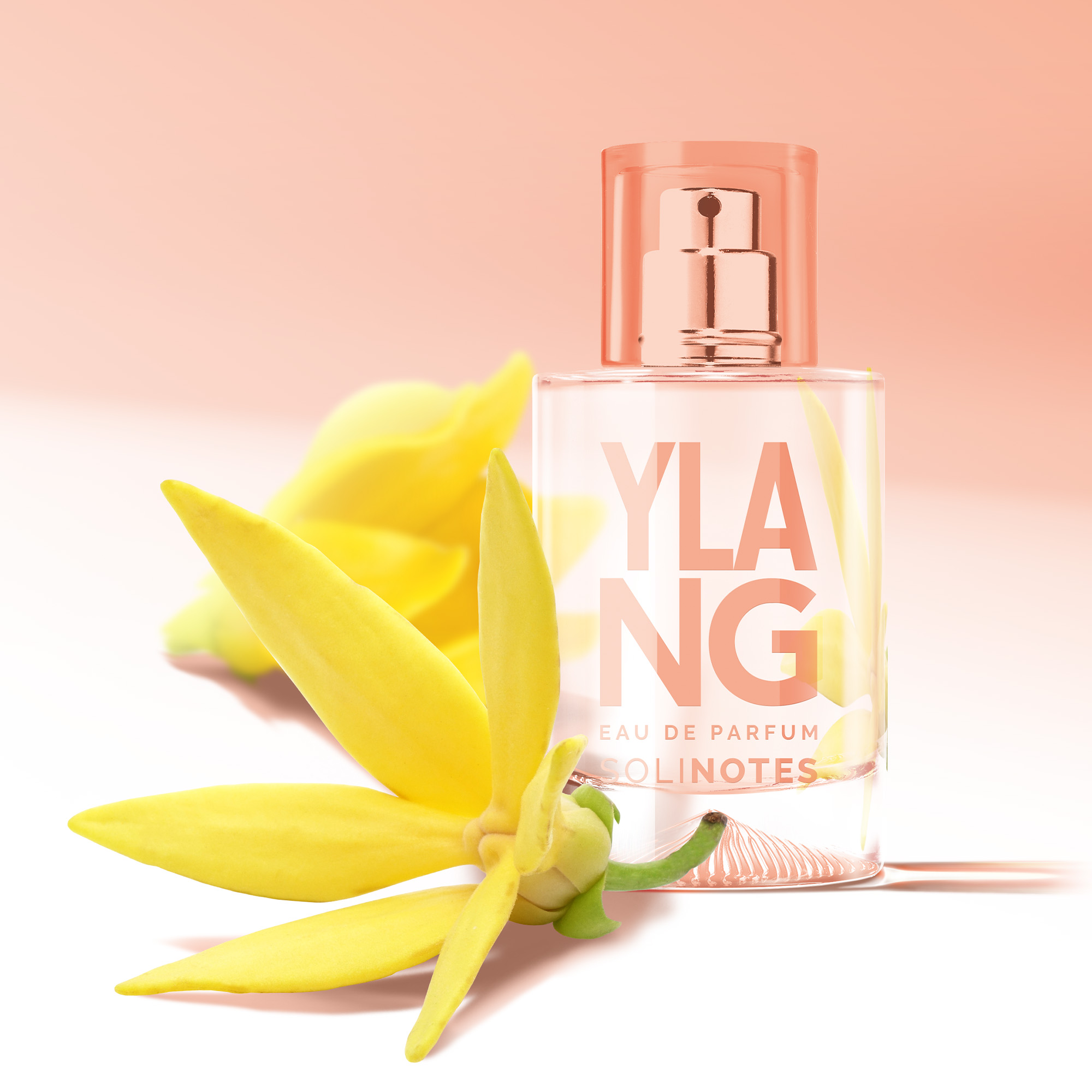 솔리노트 일랑일랑 50ml 오 드 퍼퓸 EDP 남성향수 여성향수 - 상세 이미지 4