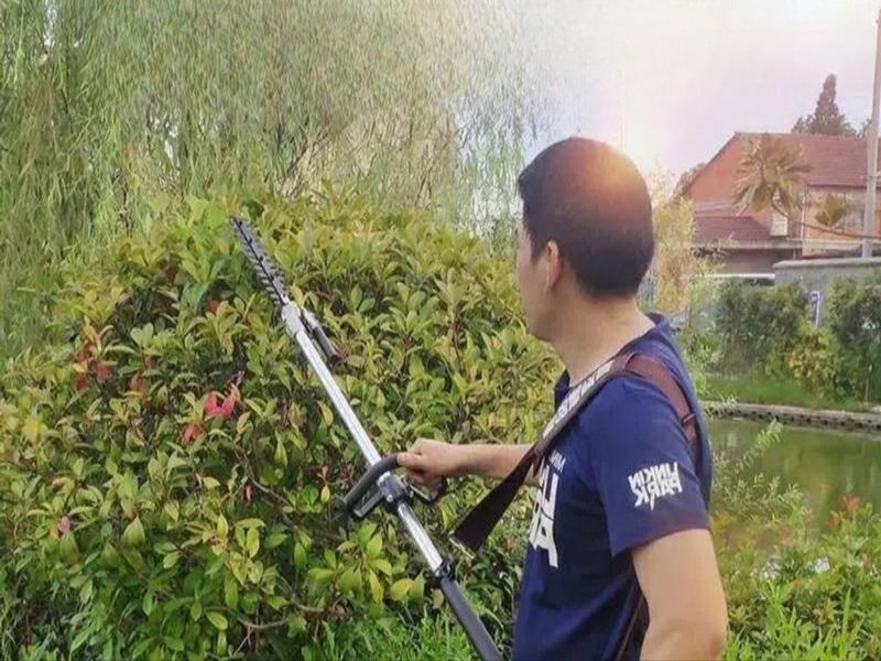 고지 엔진톱 로깅톱 체인톱 충전 전지톱 전동톱 전정 4행정 3.5m 고지톱 잔디깎이 포함 - 상품 이미지