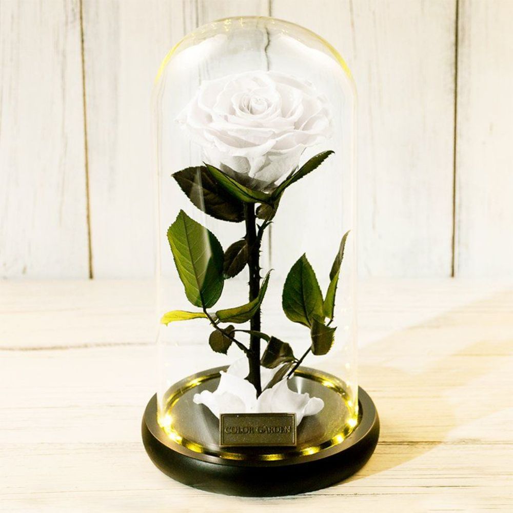 니트 무드등 꽃뜨기 DIY 뜨개질 꽃다발 영원한 장미 꽃집 - 상세 이미지 2