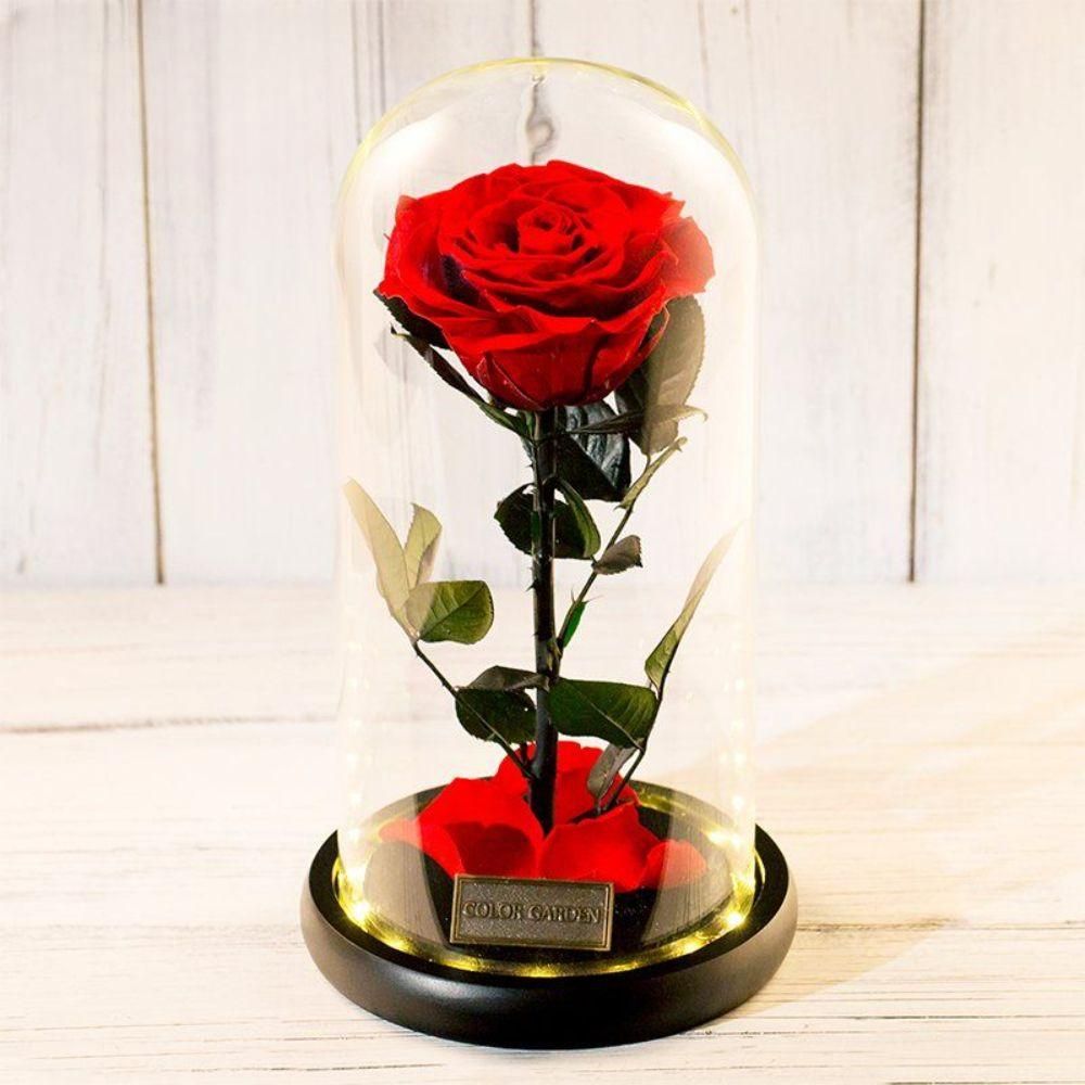 니트 무드등 꽃뜨기 DIY 뜨개질 꽃다발 영원한 장미 꽃집 - 상세 이미지 4