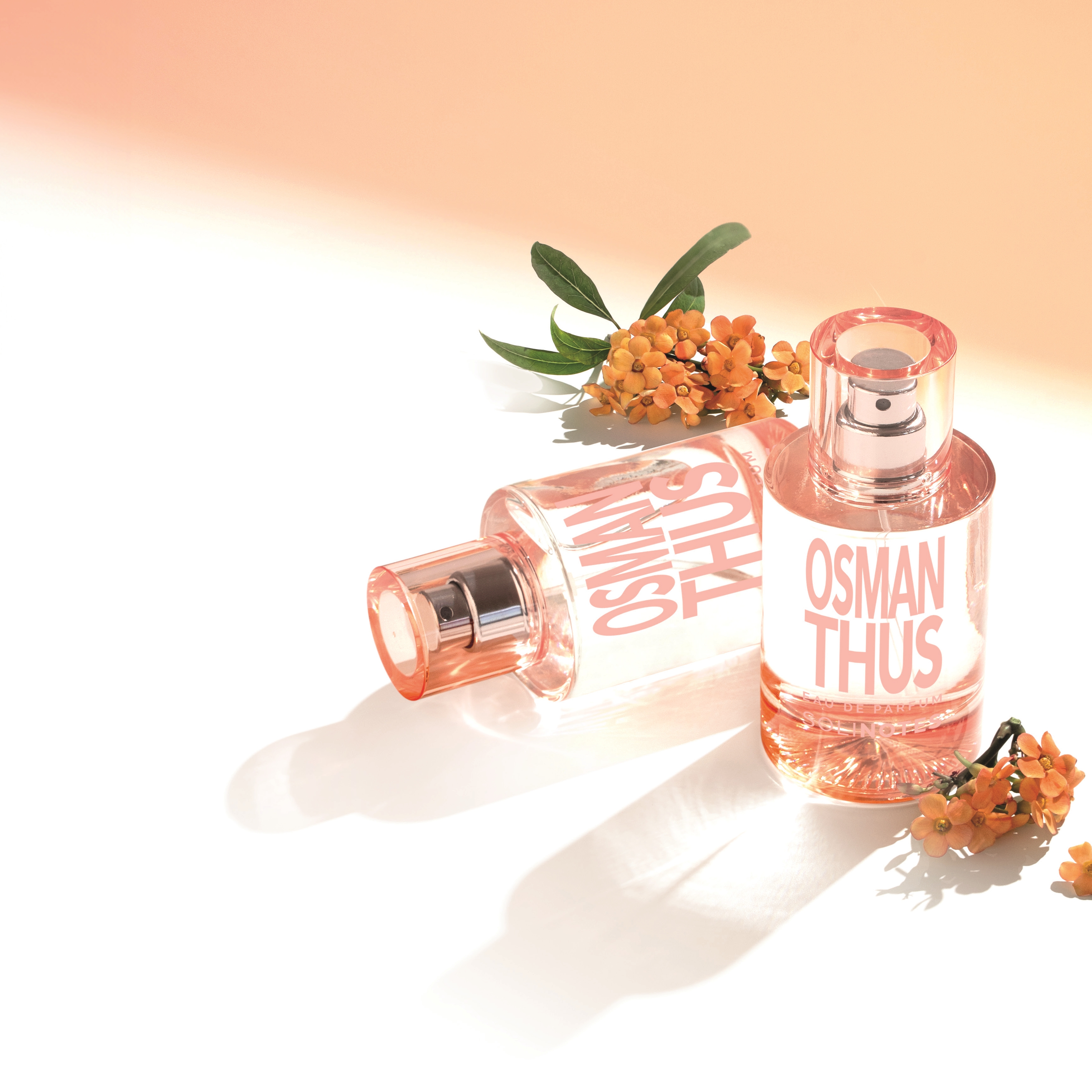 솔리노트 오스만투스 50ml 오 드 퍼퓸 EDP 남성향수 여성향수 - 상세 이미지 2