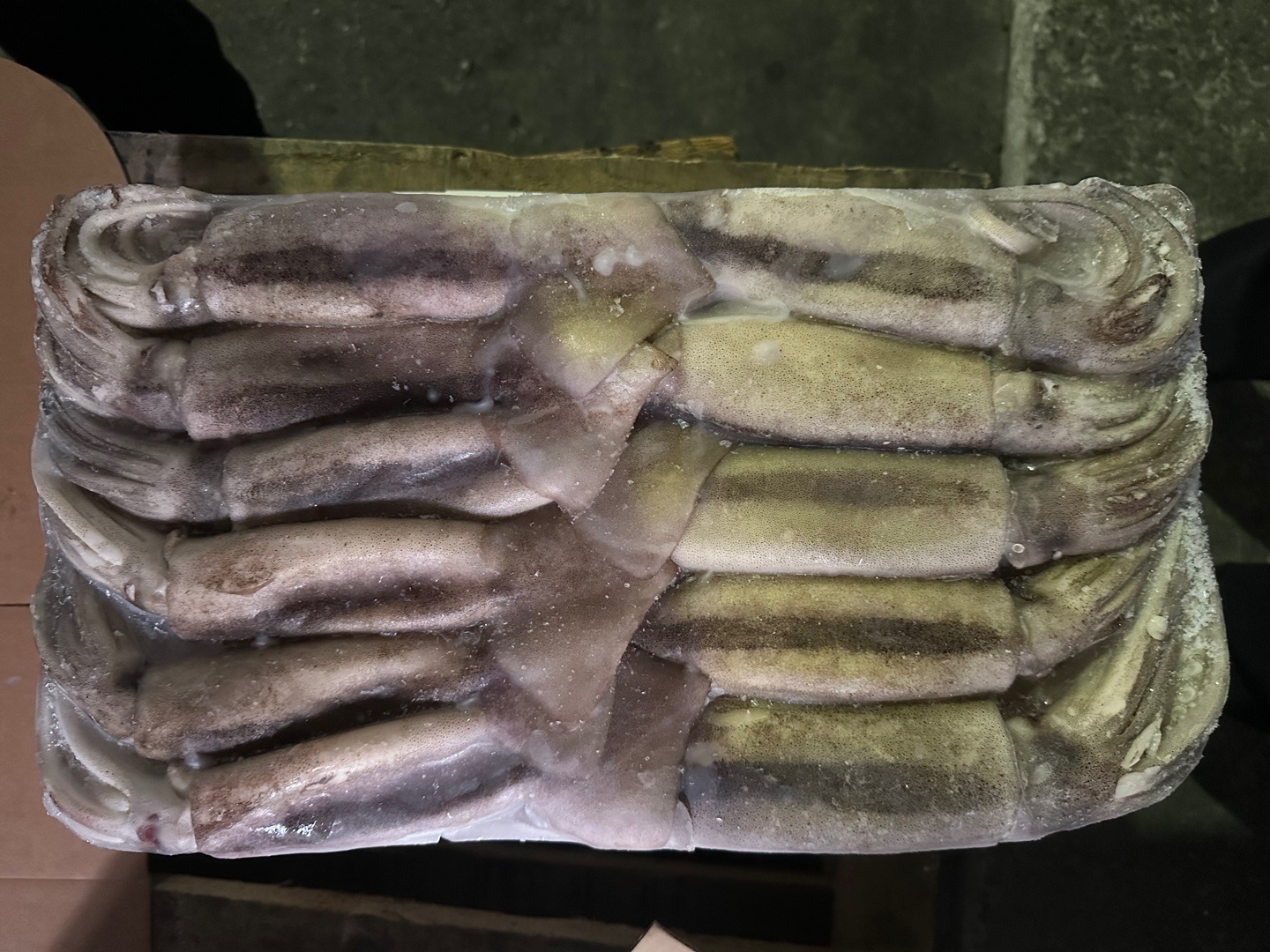냉동오징어 15kg 9미 10미 베이트 육동오징어 통오징어 업소용 이미지 6