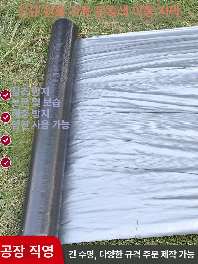 과수용 필름 덮개 자재 농업용 멀칭 과일 비닐하우스 반사 비닐 구멍 온실 2.5kg 1.2실버블랙 0.6m - 상세 이미지 3