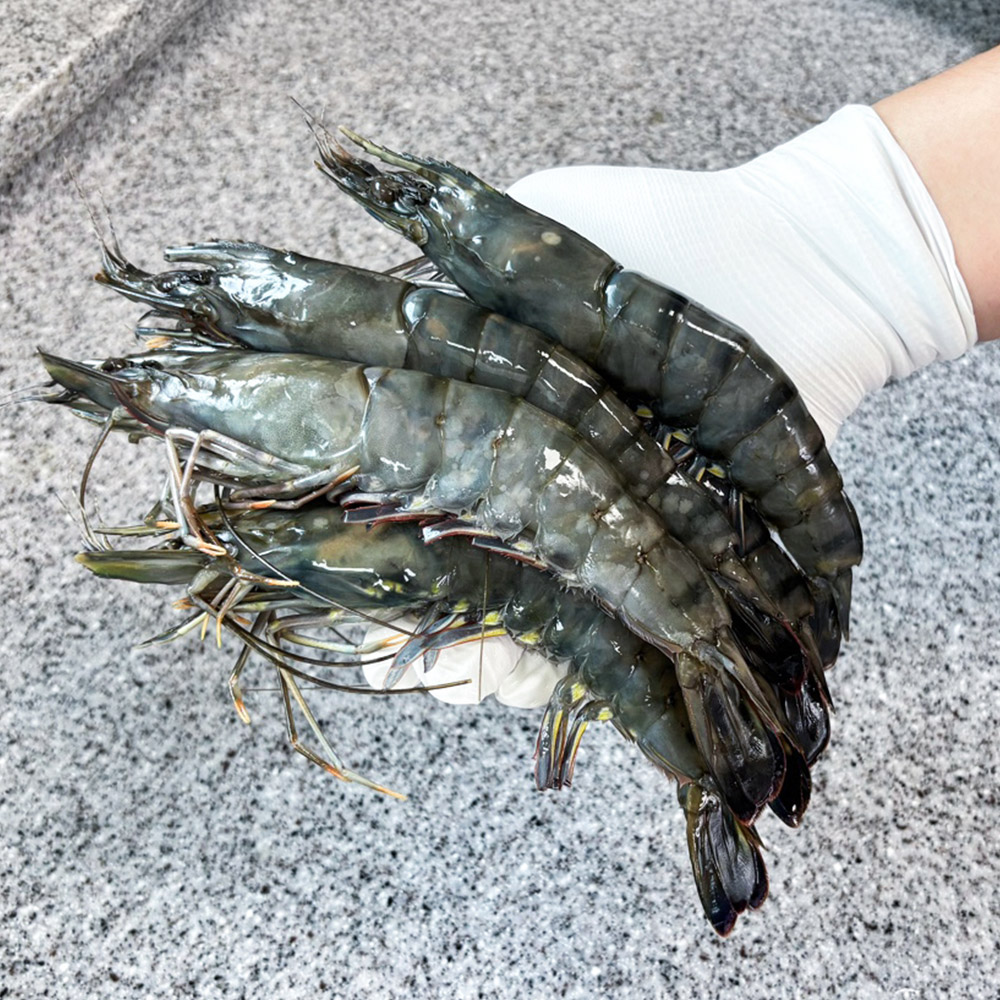 피터씨마켓 블랙타이거새우 500g - 상세 이미지 3