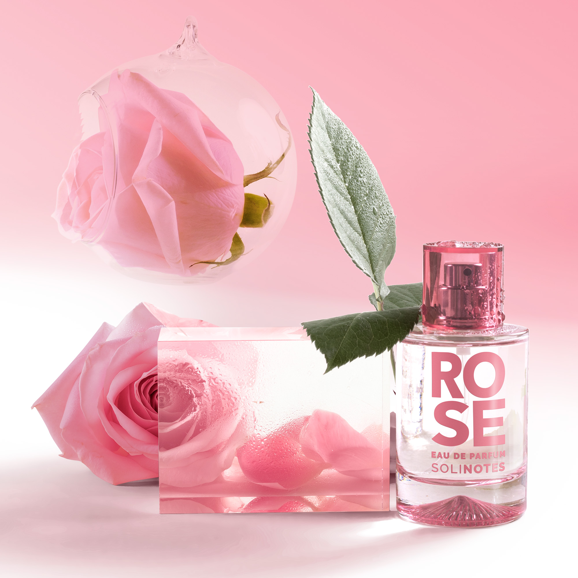 솔리노트 로즈 50ml 오 드 퍼퓸 EDP 남성향수 여성향수 이미지 6