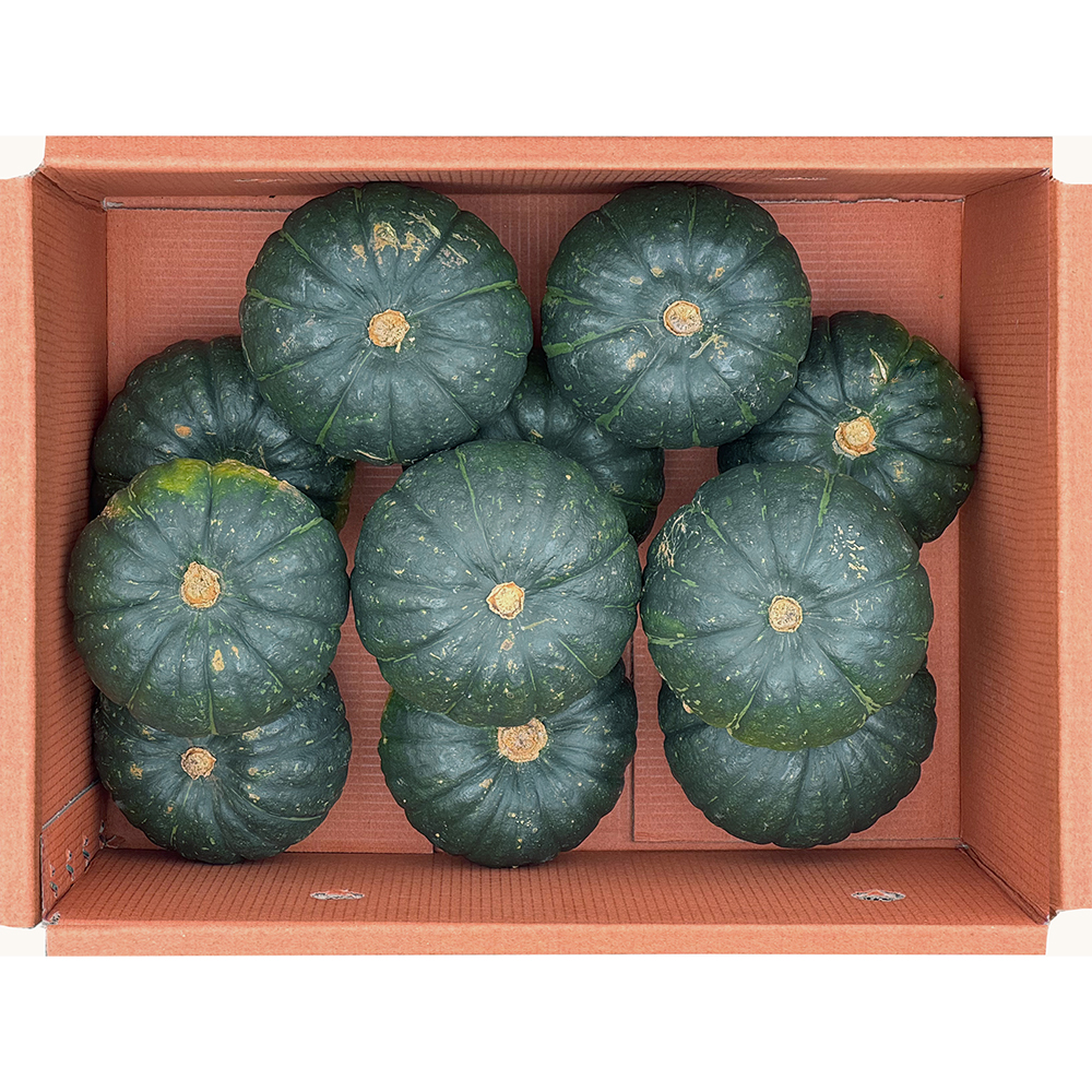 제주 미니밤호박 보우짱 단호박 특상품 못난이 1.5kg 2.5kg 4.5kg - 상세 이미지 5