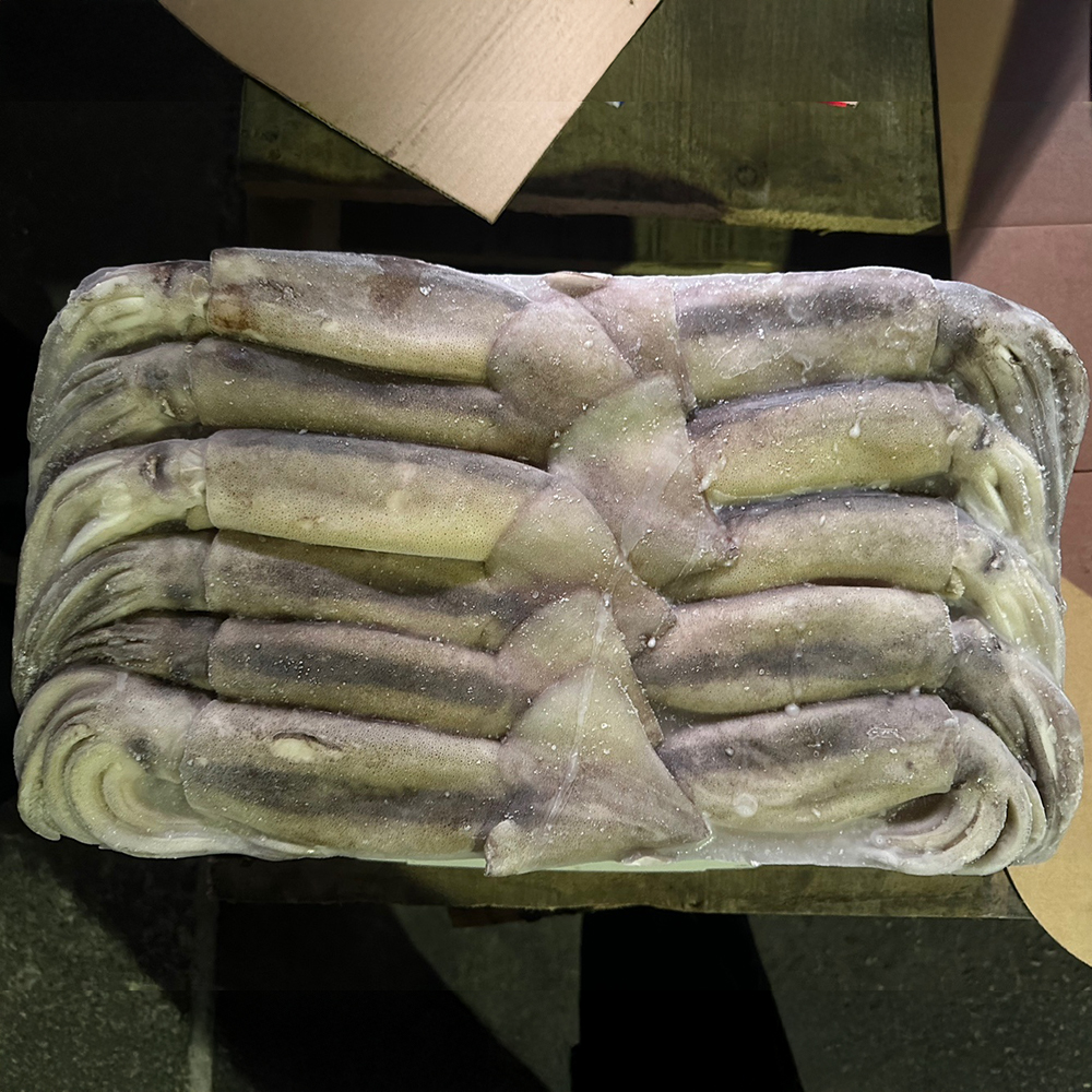 냉동오징어 15kg 9미 10미 베이트 육동오징어 통오징어 업소용 - 상세 이미지 2