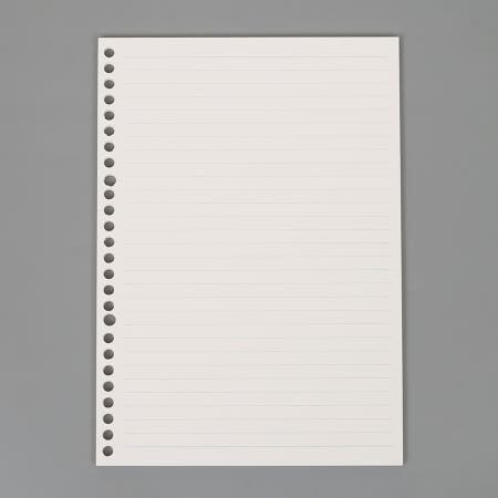 Wenzhou Tenfon Stationery Co., Ltd(주)Tree B5 26공 바인더 노트 속지 60매(유선)