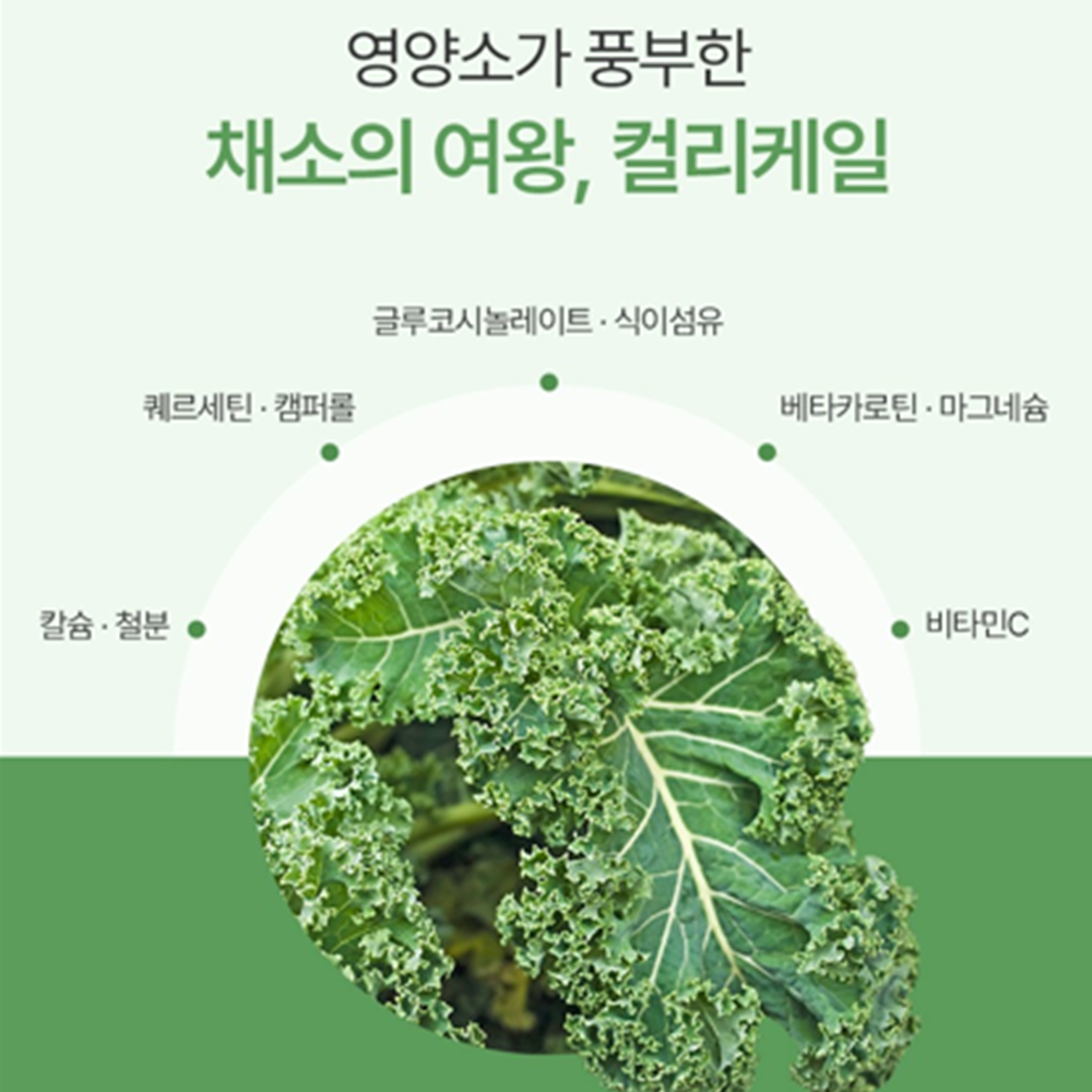 참굿즈 동결건조 곱슬 컬리 케일 분말 가루 100% 120g 3통 글루코시놀레이트 미국산 - 상세 이미지 4