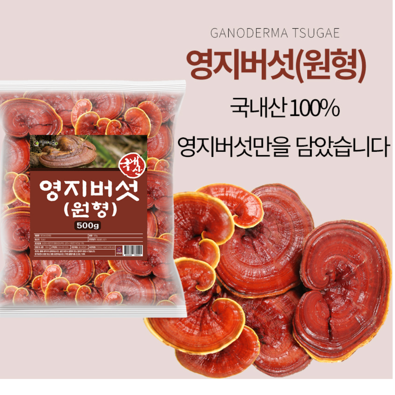 국산 영지버섯 효능 통영지 국내산 자연산 영지버섯 500g - 상세 이미지 2