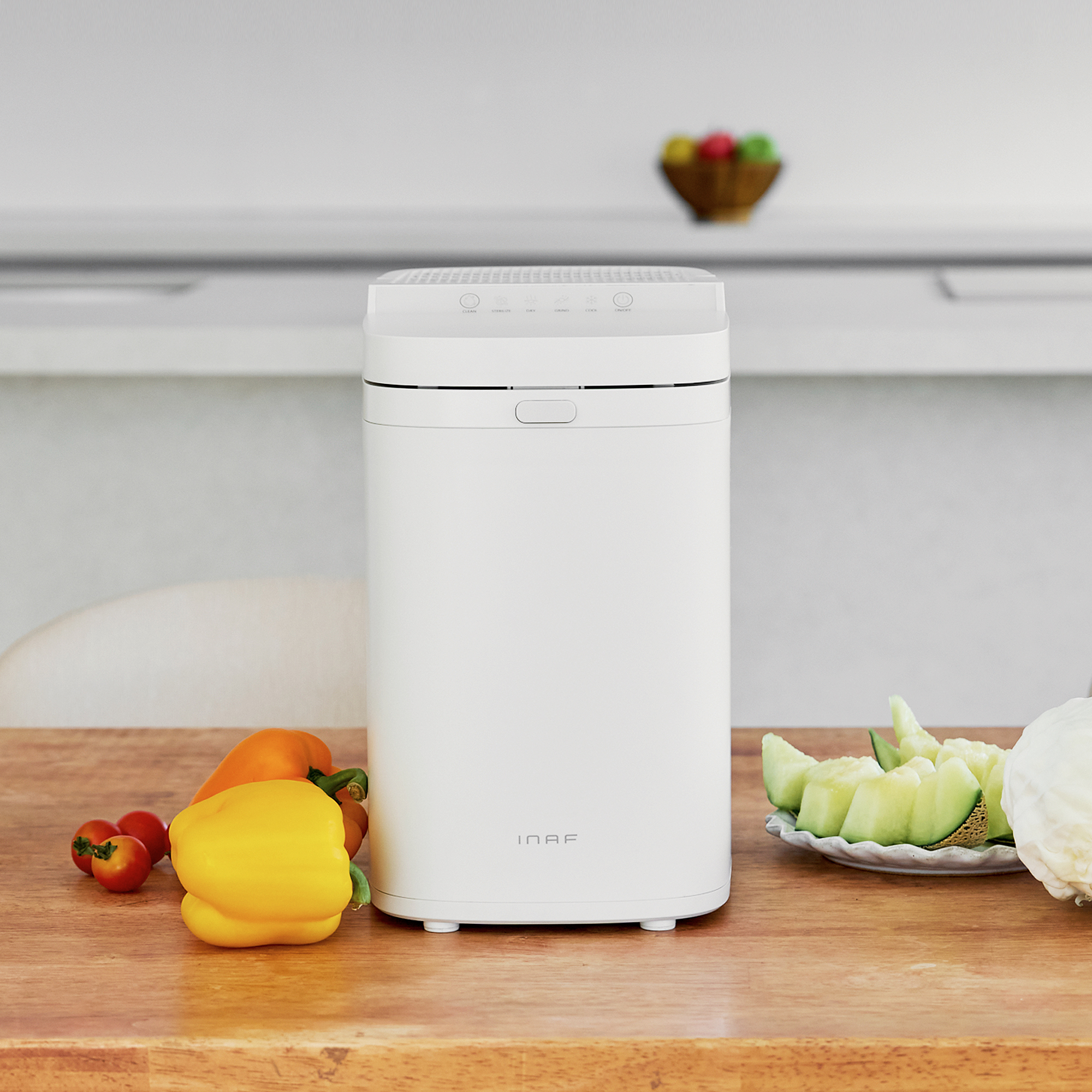 이나프 음식물처리기 리움 가정용 분쇄기 건조기