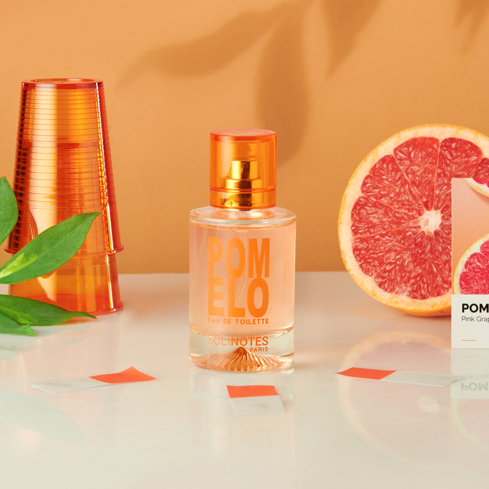 솔리노트 포멜로 50ml 오 드 퍼퓸 EDP 남성향수 여성향수 - 상세 이미지 5
