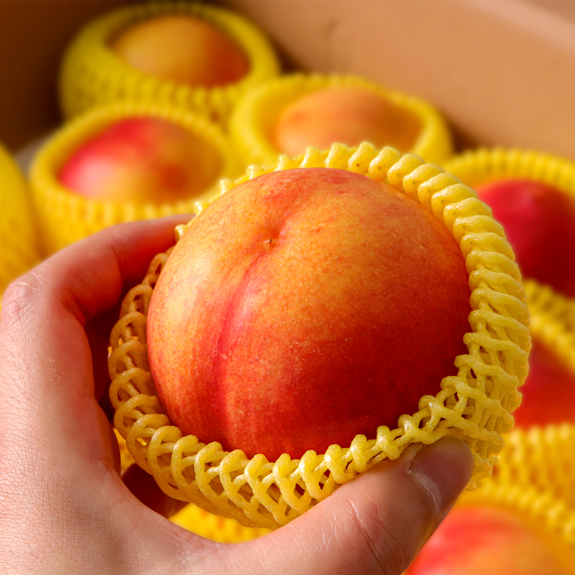 경산 망고복숭아 금홍 로얄과 1.8kg 옐로우드림 황도 천도 제철복숭아