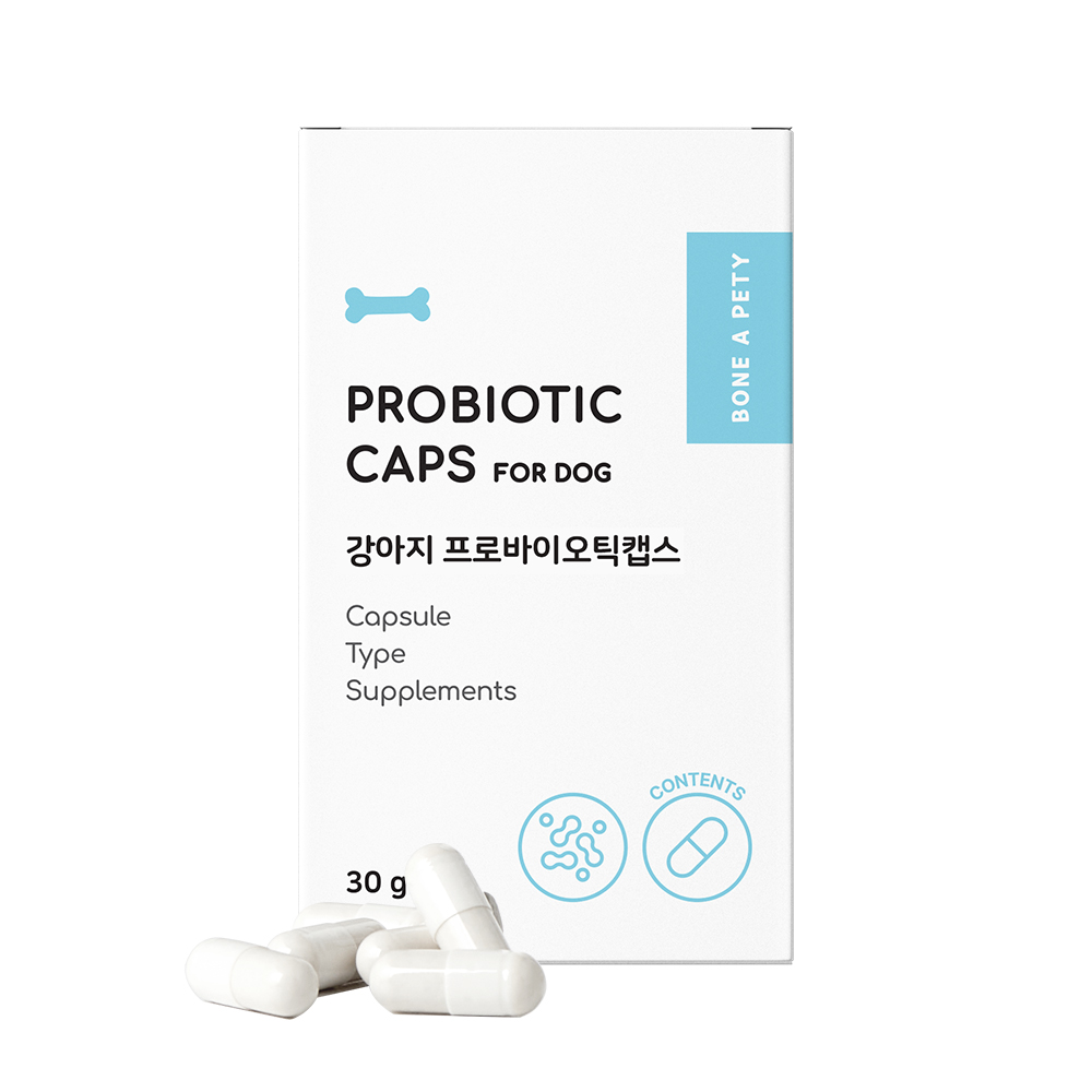 본아페티 프로바이오틱캡스 강아지 모유 구강 유산균 60포, 1개