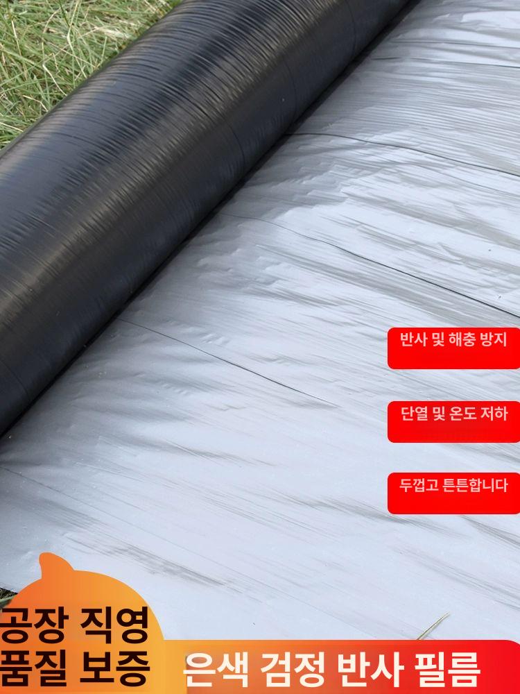 과수용 필름 덮개 자재 농업용 멀칭 과일 비닐하우스 반사 비닐 구멍 온실 2.5kg 1.2실버블랙 0.6m - 상세 이미지 5