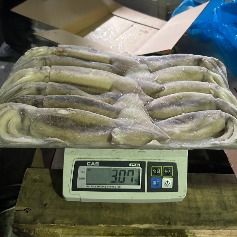 냉동오징어 15kg 9미 10미 베이트 육동오징어 통오징어 업소용 - 상세 이미지 3