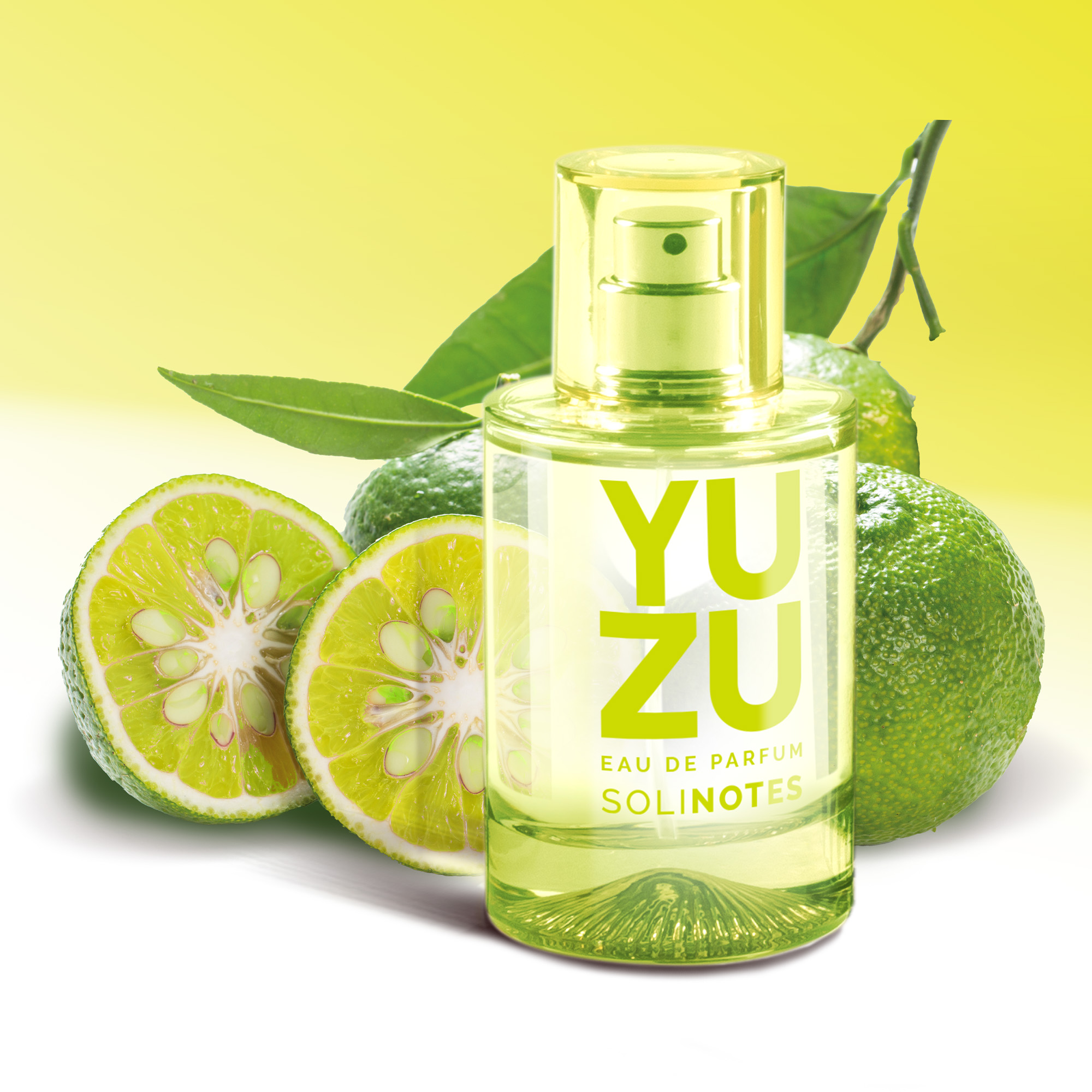 솔리노트 유자 50ml 오 드 퍼퓸 EDP 남성향수 여성향수 - 상세 이미지 5